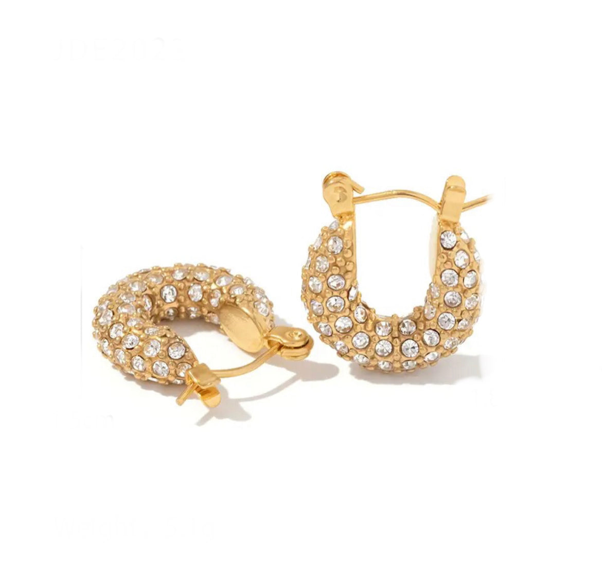 Sparkle Mini hoop Earring’s