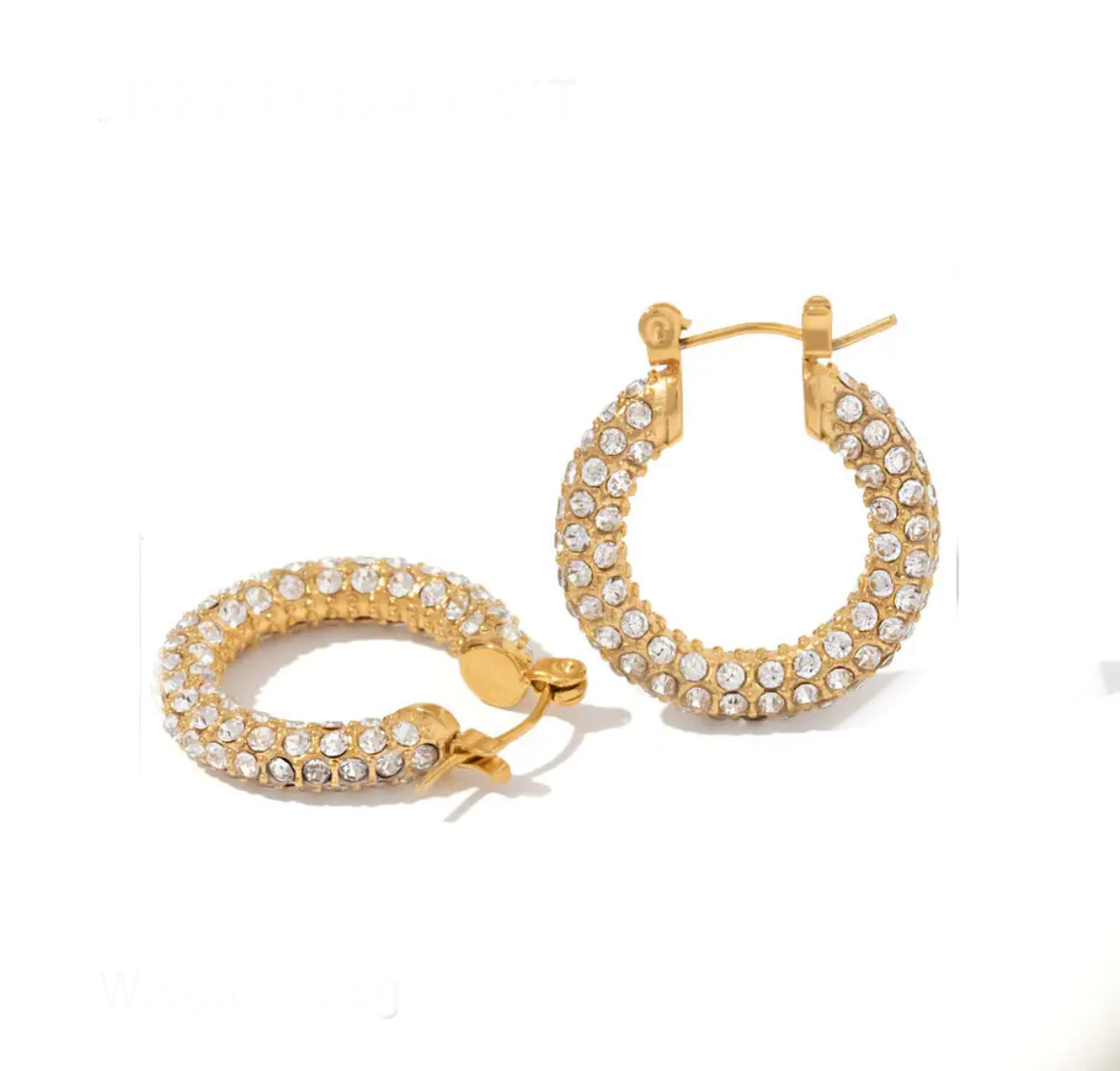 Sparkle Hoop Earring’s